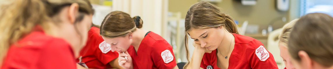 Nursing Banner
