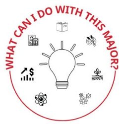 What can I do with this Major
